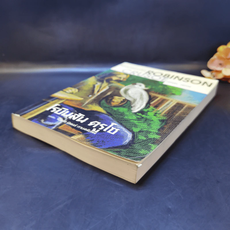 เรียนอังกฤษจากเรื่อง Robinson Crusoe โรบินสัน ครูโซ รูปที่ 7
