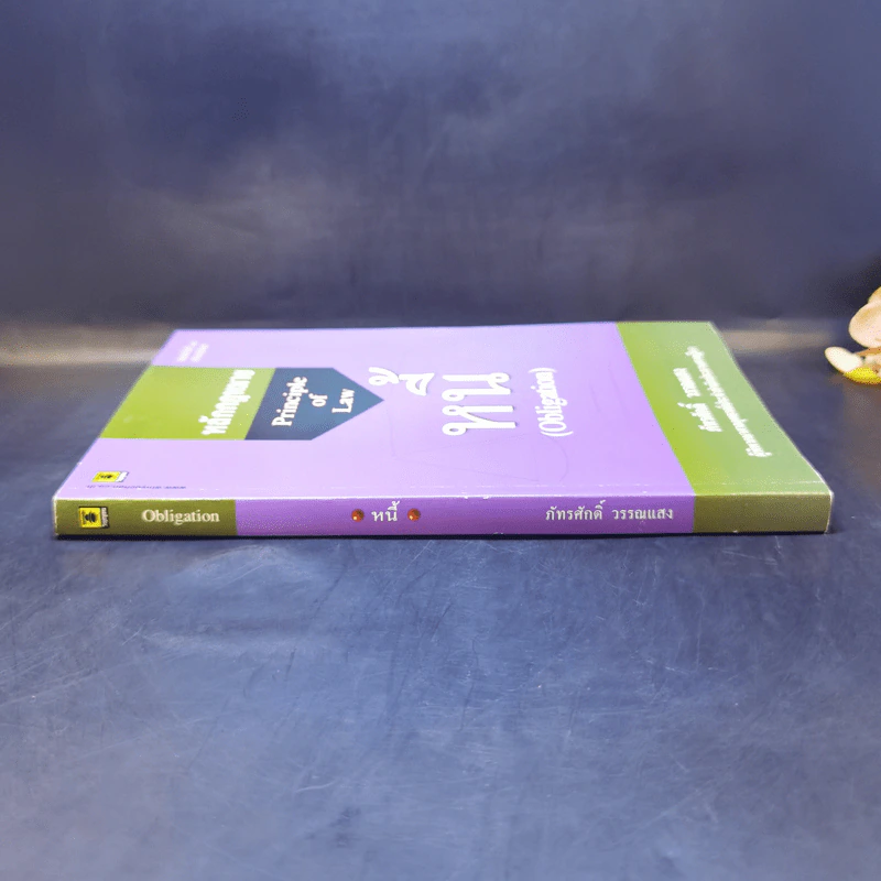 หลักกฎหมาย Principle of Law หนี้ - ภัทรศักดิ์ วรรณแสง รูปที่ 3