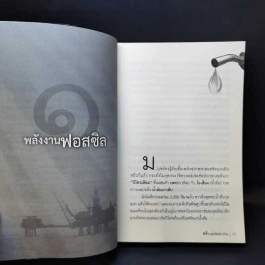 ปล้น ขุมทรัพย์อ่าวไทย - ประสิทธิ์ ไชยชมพู รูปที่ 11