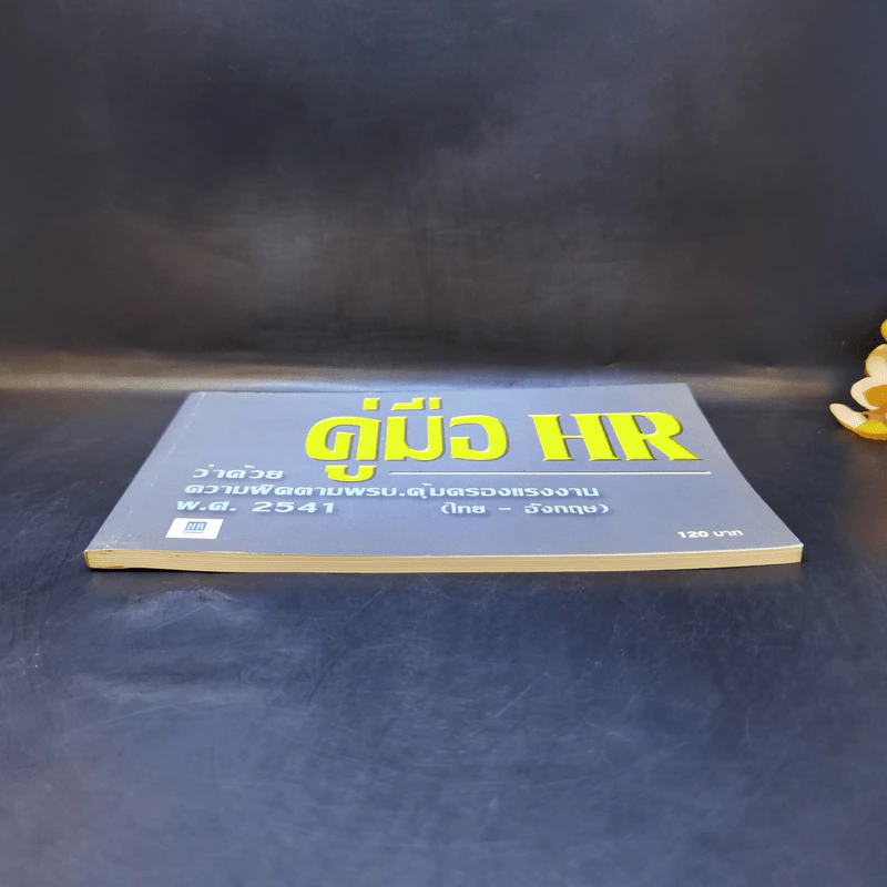 คู่มือ HR ว่าด้วยความผิดตามพรบ.คุ้มครอบแรงงาน พ.ศ.2541 (ไทย-อังกฤษ) รูปที่ 4