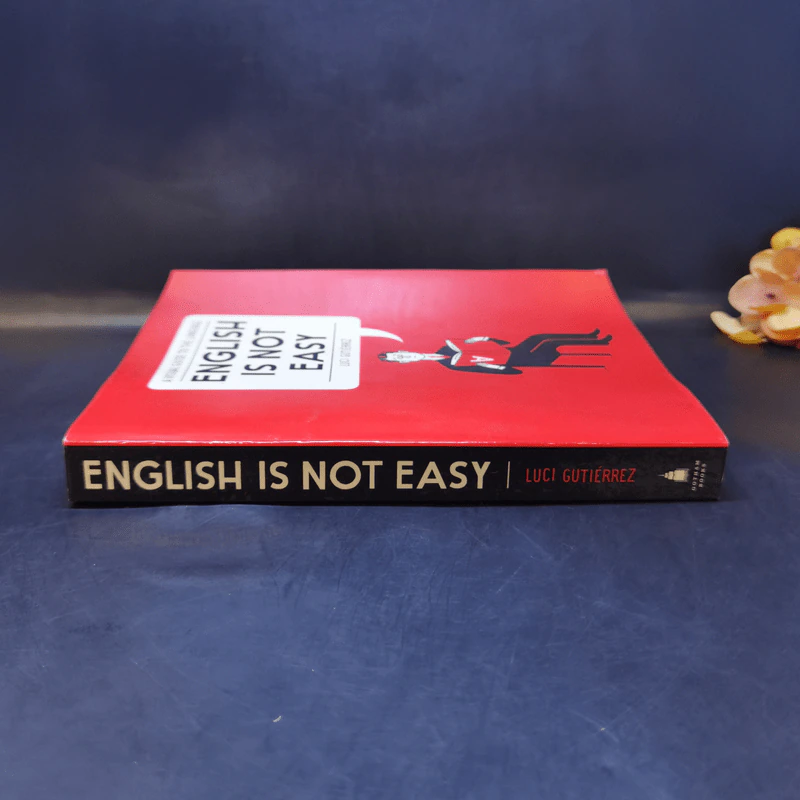 English Is Not Easy : A Visual Guide to the Language รูปที่ 3