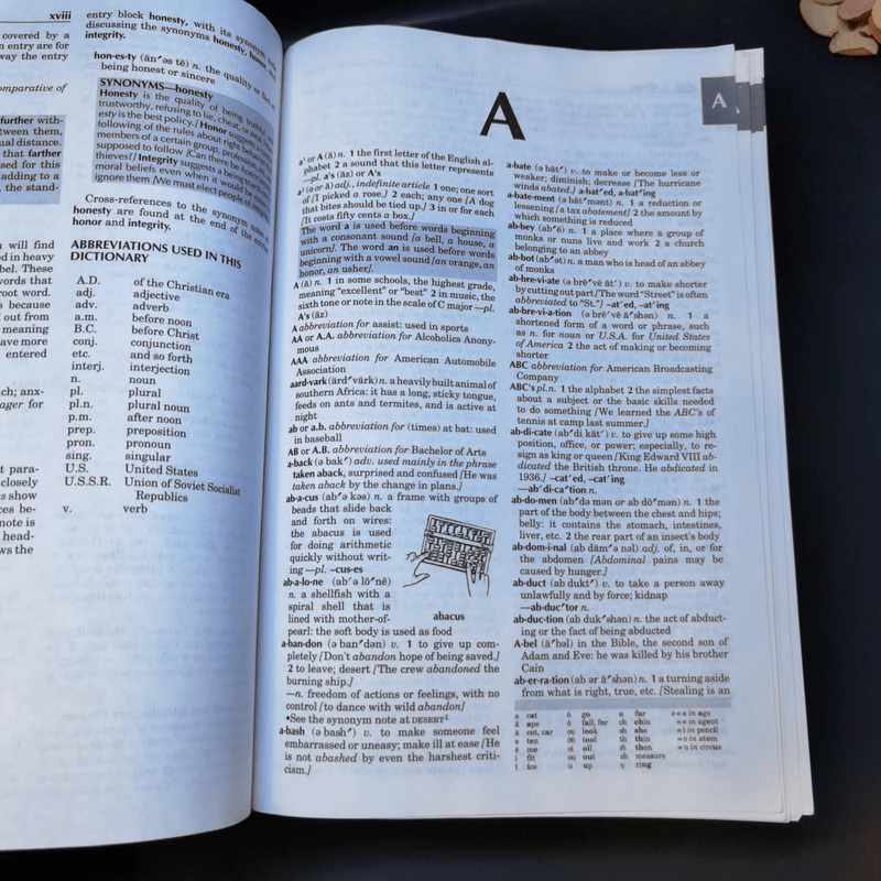 Webster's New World Basic Dictionary of American English รูปที่ 12