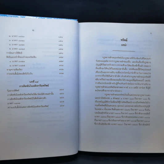 คำอธิบายกฎหมายลักษณะทรัพย์ - ศาสตราจารย์ บัญญัติ สุชีวะ รูปที่ 18