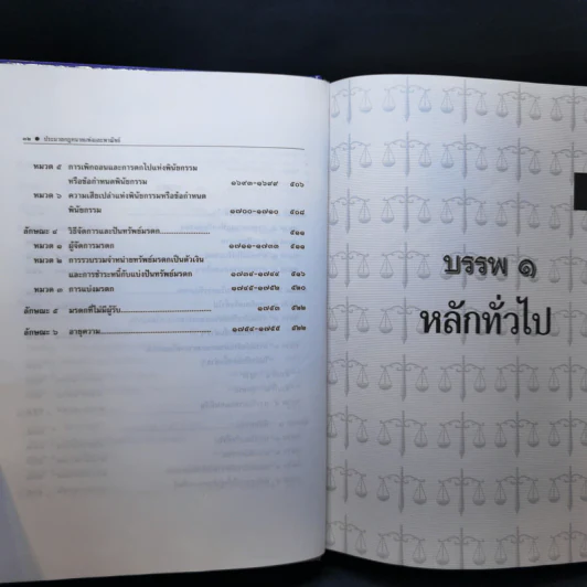 ประมวลกฎหมายแพ่งและพาณิชย์ ฉบับใช้เรียน - รองศาสตราจารย์สมยศ เชื้อไทย รูปที่ 17