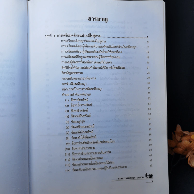 วิชาว่าความและมรรยาท ทนายความ - ศาสตราจารย์มารุต บุนนาค รูปที่ 10