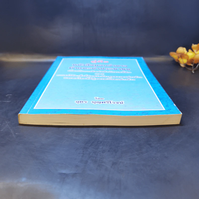 คู่มือหนังสือมอบอำนาจ คำแนะนำประชาชนเกี่ยวกับการติดต่อสำนักงานที่ดินและการขอได้มาซึ่งที่ดินหรือห้องชุดของคนต่างด้าวและคนไทยที่มีคู่สมรสเป็นคนต่างด้าว รูปที่ 4