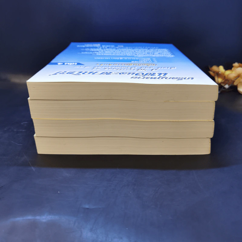 เกร็ดกฎหมายแพ่งและพาณิชย์ เล่ม 1-4 - สมศักดิ์ เอี่ยมพลับใหญ่ รูปที่ 5