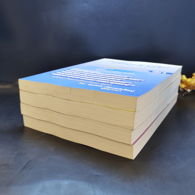 เกร็ดกฎหมายแพ่งและพาณิชย์ เล่ม 1-4 - สมศักดิ์ เอี่ยมพลับใหญ่ รูปที่ 6