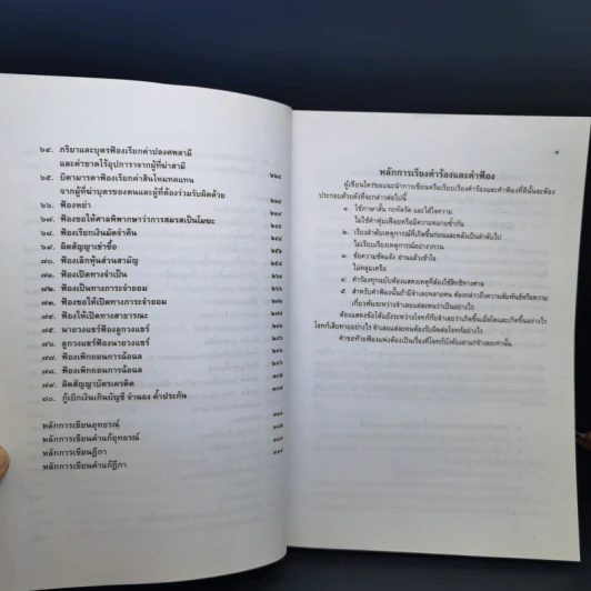 สารพัดคำร้อง สารพัดคำฟ้อง พร้อมหลักการเขียนอุธรณ์ฏีกา หลักการเขียนคำแก้อุธรณ์ฏีกา - ภาสกร ญาณสุธี รูปที่ 11