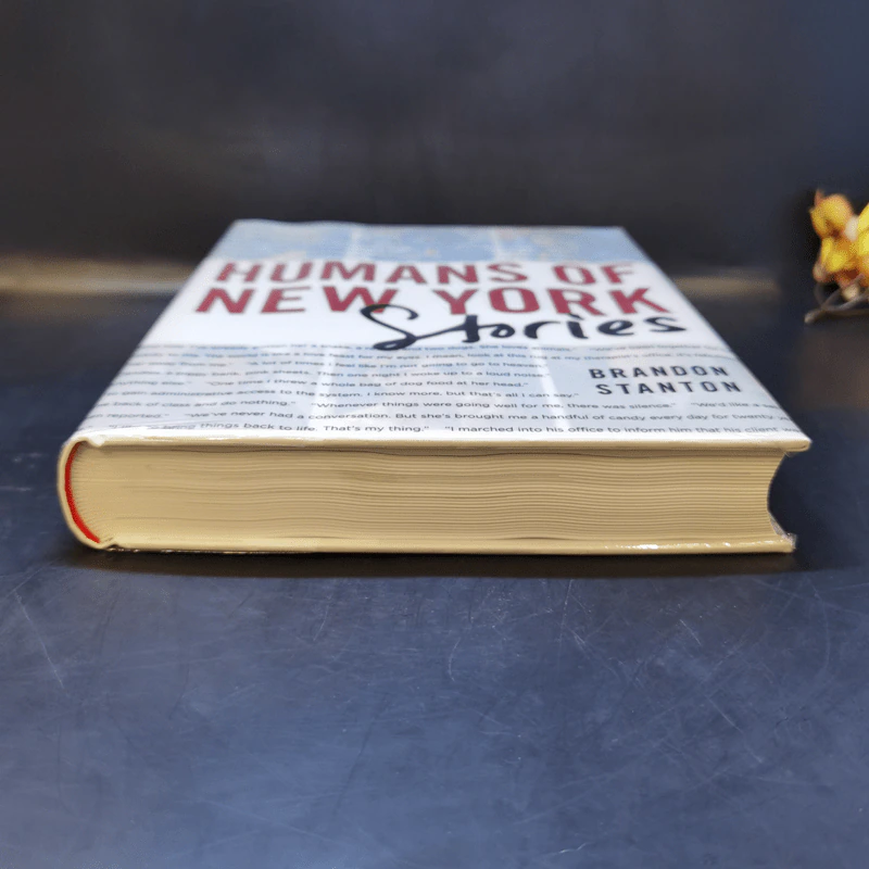 Humans of New York Stories - Brandon Stanton รูปที่ 4