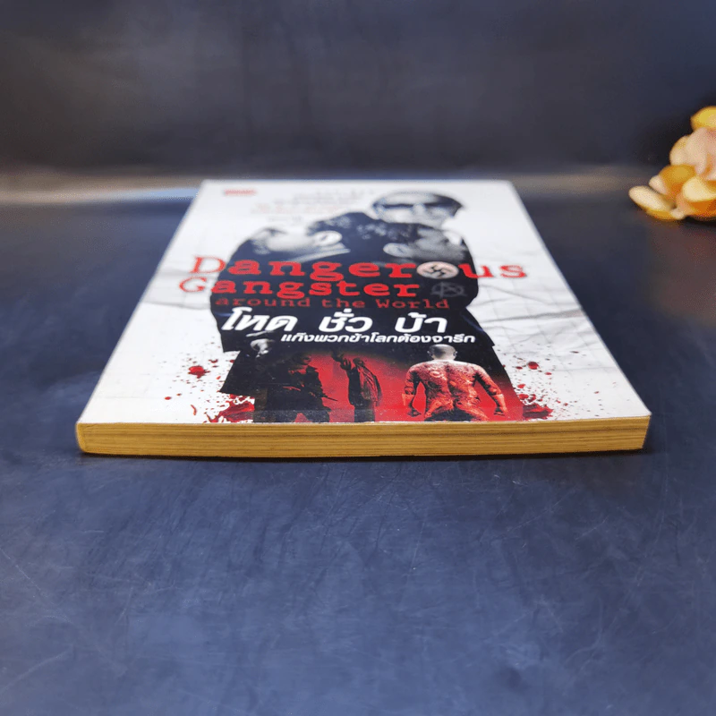 Danger Us Gangster Around the World โหด ชั่ว บ้า แก๊งพวกข้าโลกต้องจารึก - ปุณณวิถี รูปที่ 4