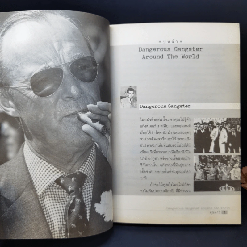 Danger Us Gangster Around the World โหด ชั่ว บ้า แก๊งพวกข้าโลกต้องจารึก - ปุณณวิถี รูปที่ 10