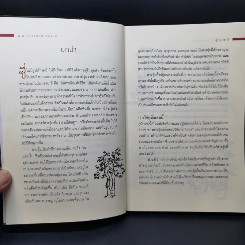 ฮวงจุ้ยรับโชคลาภ - อู่สิง รูปที่ 10