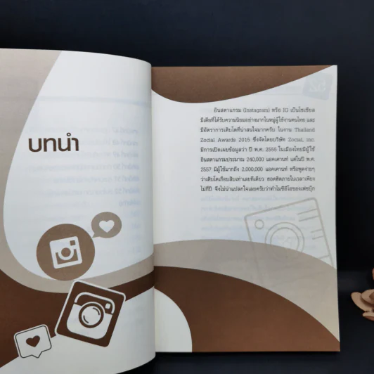 52 เทคนิคขายดีบน Instagram - สืบศักดิ์ ลิ่วลักษณ์ รูปที่ 13