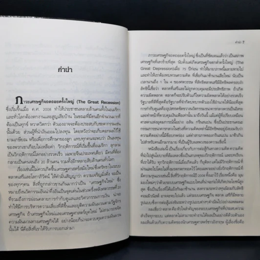 FreeFall ฟรีฟอลล์ รากเหง้า-ทางออกแห่งวิกฤติการณ์การเงินโลก - Joseph E.Stiglitz รูปที่ 10