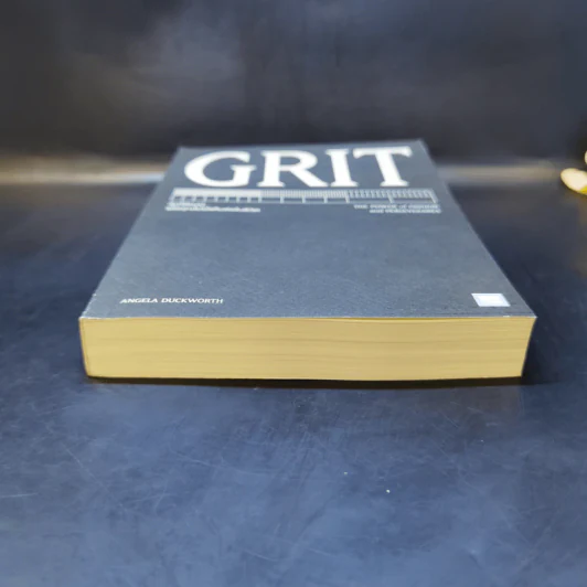 GRIT สิ่งที่ต้องมี...เมื่อคุณไม่มีแต้มต่อในชีวิต - Angela Duckworth รูปที่ 4