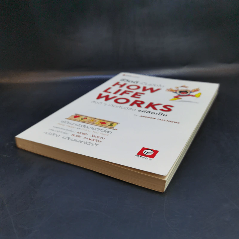 ชีวิตดีเป็นยังไง How Life Works สิ่งดีๆเกิดกับชีวิตแค่คิดเป็น - Andrew Matthews รูปที่ 7