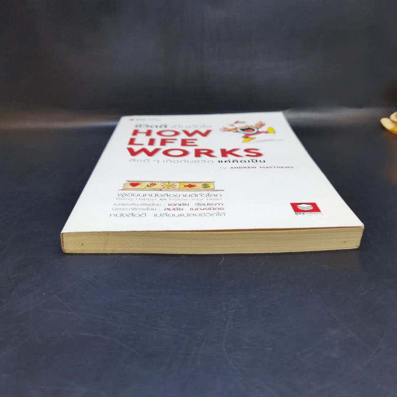 ชีวิตดีเป็นยังไง How Life Works สิ่งดีๆเกิดกับชีวิตแค่คิดเป็น - Andrew Matthews รูปที่ 4