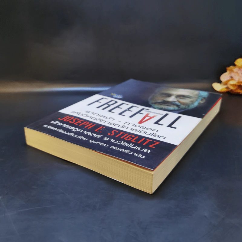 FreeFall ฟรีฟอลล์ รากเหง้า-ทางออกแห่งวิกฤติการณ์การเงินโลก - Joseph E.Stiglitz รูปที่ 7