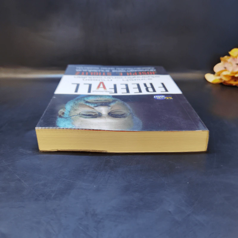 FreeFall ฟรีฟอลล์ รากเหง้า-ทางออกแห่งวิกฤติการณ์การเงินโลก - Joseph E.Stiglitz รูปที่ 6