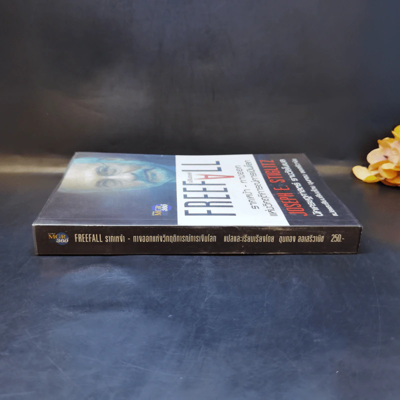 FreeFall ฟรีฟอลล์ รากเหง้า-ทางออกแห่งวิกฤติการณ์การเงินโลก - Joseph E.Stiglitz รูปที่ 3