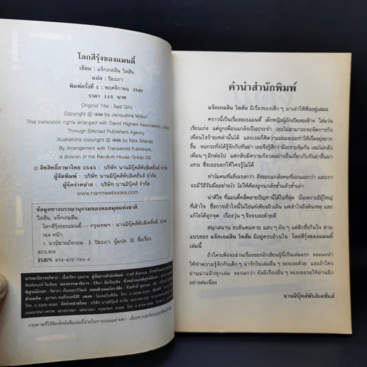 โลกสีรุ้งของแมนดี้ - Jacqueline Wilson รูปที่ 9