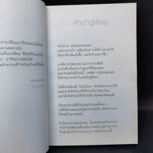 แค่เราเข้าใจ - ครูภู รูปที่ 12