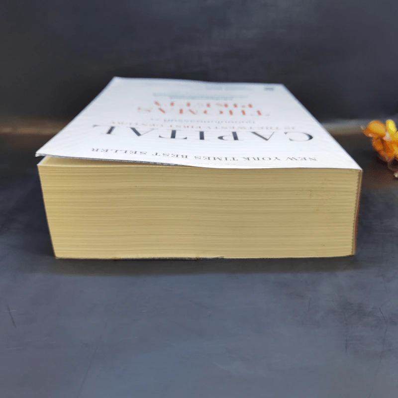 ทุนนิยมในศตวรรษที่ 21 - Thomas Piketty รูปที่ 6