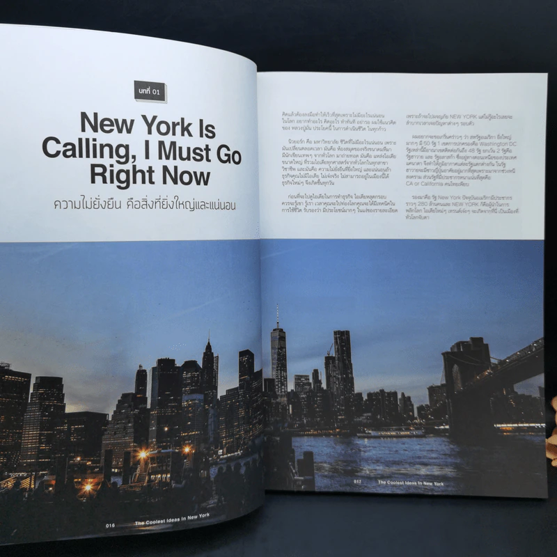 The Coolest Ideas in New York นิวยอร์ก นอกรู - นุวีร์ เลิศบรรณพงษ์ (Nuvee Lertbunnapong) รูปที่ 12