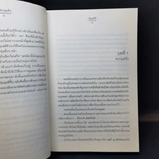 ชุด สืบเสน่หา พิษพยัคฆ์ - ฉัตรฉาย + พิษรักรสเด็ด - อัญชรีย์ รูปที่ 12