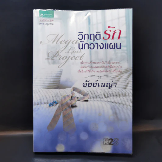 วิกฤติรักนักวางแผน - อัยย์เนญ่า รูปที่ 1