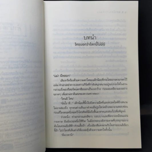 แสนโหลแสนหลอน - ปลายสี รูปที่ 10