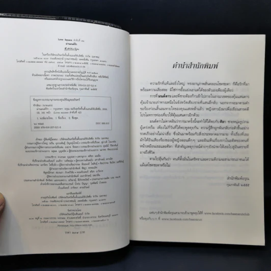 ม่านมนต์รัก - ทักษิณา รูปที่ 9