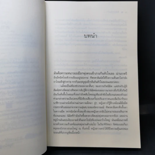 นิมิตลิขิตรัก - ริญจน์ธร รูปที่ 10