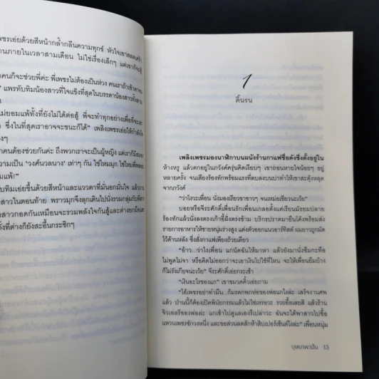 เพลิงเพชร - บุษบาพาฝัน รูปที่ 10