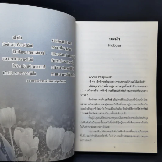 ยาตราร้อยเล่ห์ - มิรา รูปที่ 10