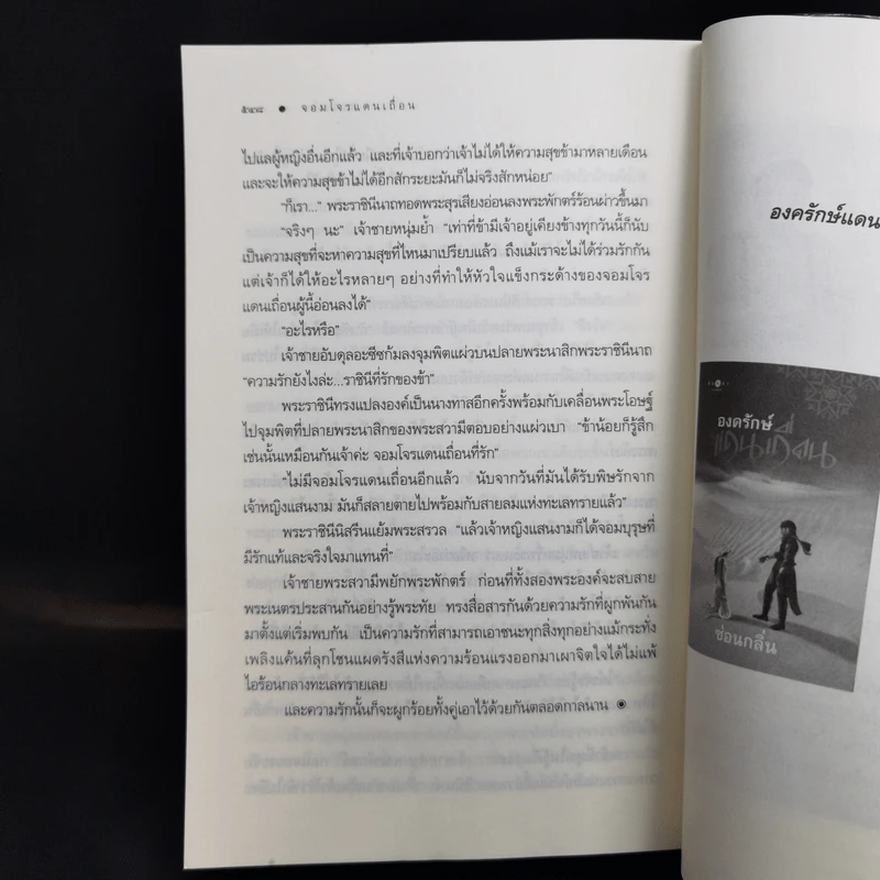 จอมโจรแดนเถื่อน + ราชันแดนเถื่อน - ซ่อนกลิ่น รูปที่ 10