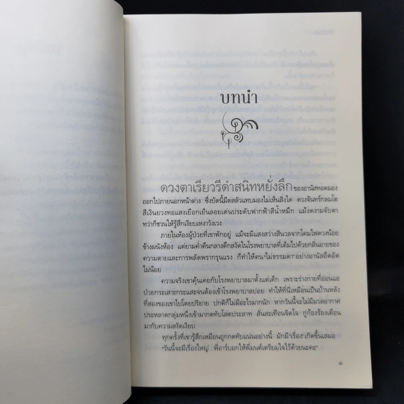 ม่านมนต์รัก - ทักษิณา รูปที่ 10