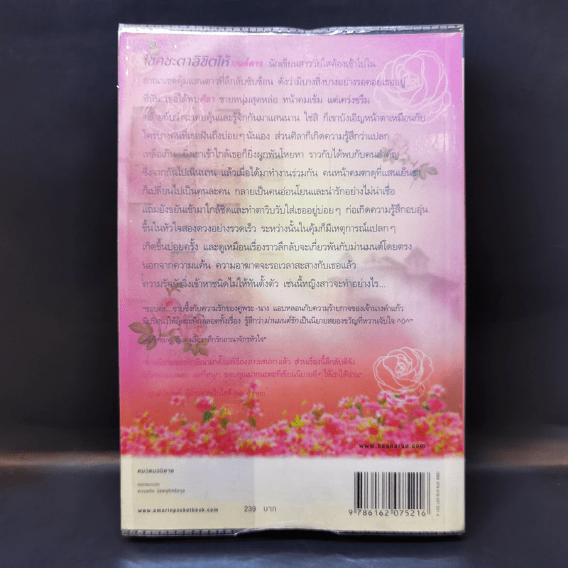 ม่านมนต์รัก - ทักษิณา รูปที่ 2