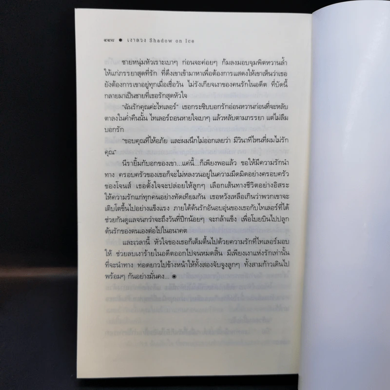 เงาลวง - ณารา รูปที่ 11