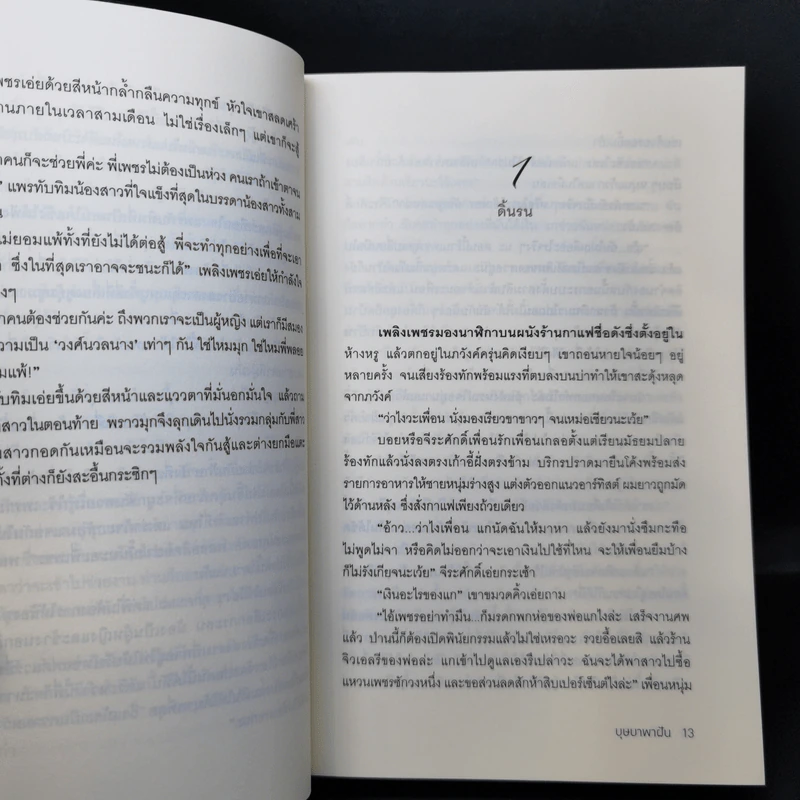 เพลิงเพชร - บุษบาพาฝัน รูปที่ 10