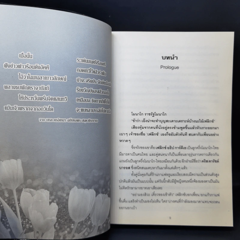 ยาตราร้อยเล่ห์ - มิรา รูปที่ 10