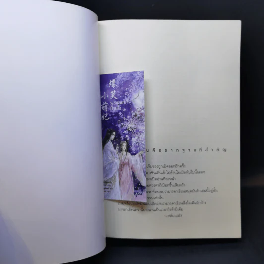 พระชายาป่วนใจ - เหลินเฉิง รูปที่ 9