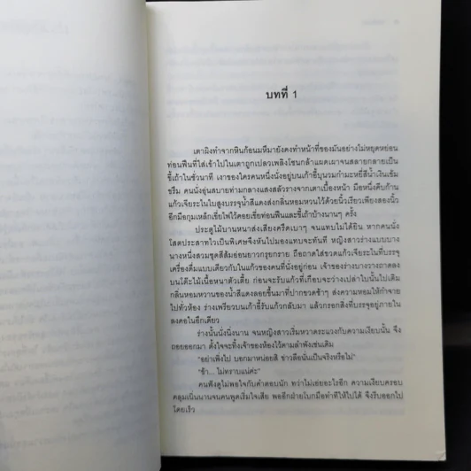 เงาจันทรา - มุตตา รูปที่ 9