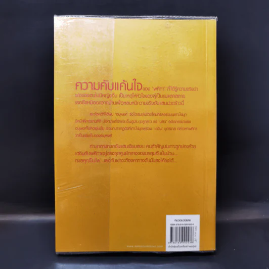 ทะเลไฟ - ณารา รูปที่ 2
