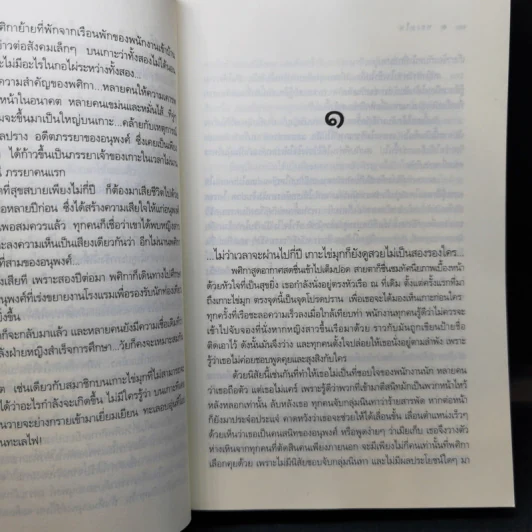 ทะเลไฟ - ณารา รูปที่ 11