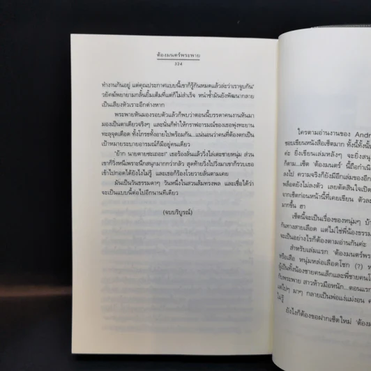 ต้องมนตร์พระพาย - Andra รูปที่ 11