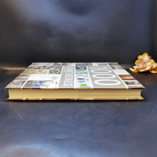1000 Home Details - Francesc Zamora Mola รูปที่ 5