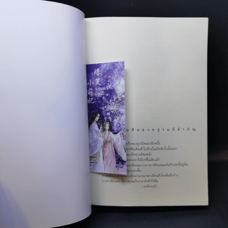 พระชายาป่วนใจ - เหลินเฉิง รูปที่ 9