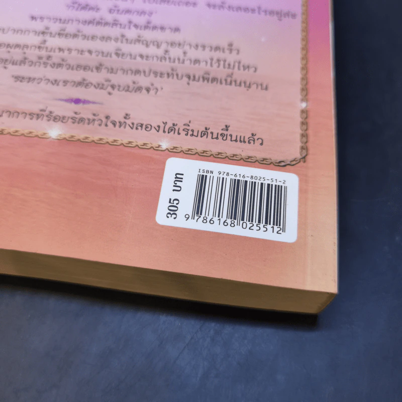 โซ่พิศวาส - โรสิตา รูปที่ 12